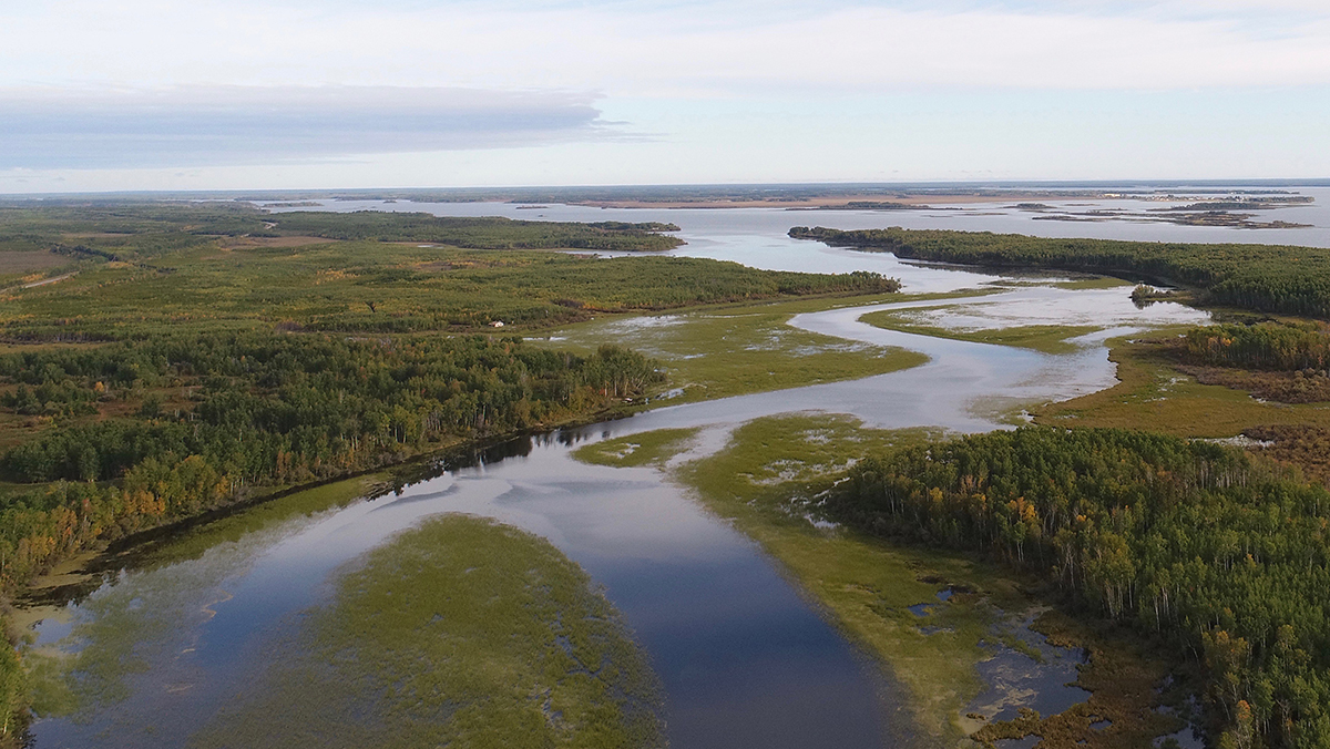 Contact - NWC Wild Rice