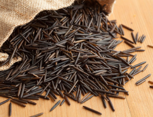 What is wild rice?